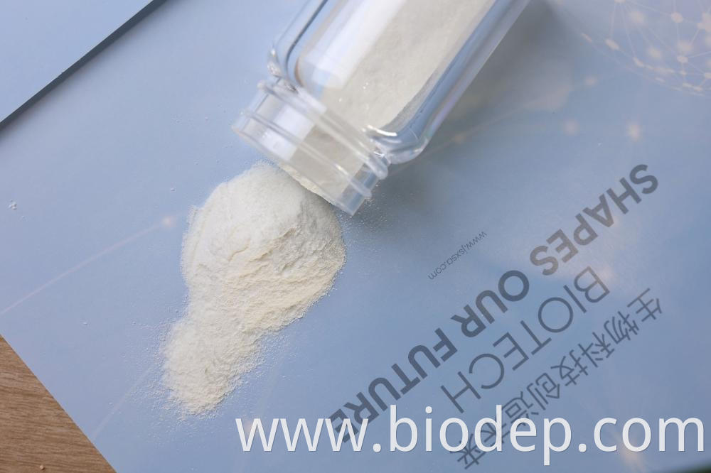 Probiotic Powder